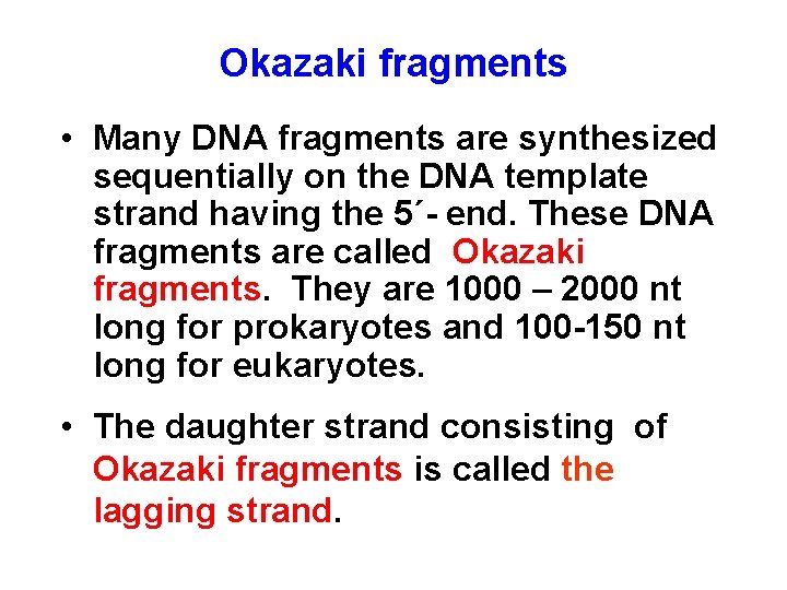 Okazaki fragments • Many DNA fragments are synthesized sequentially on the DNA template strand