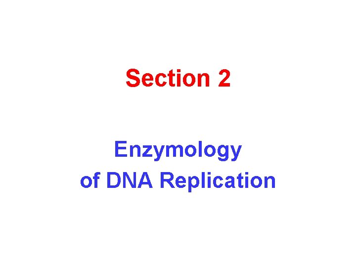 Section 2 Enzymology of DNA Replication 