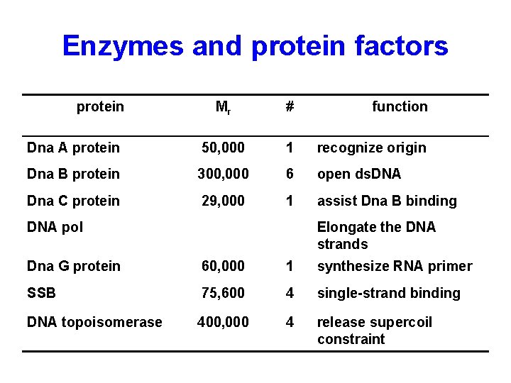 Enzymes and protein factors protein Mr # function Dna A protein 50, 000 1
