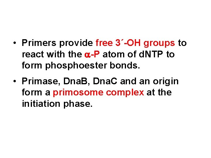  • Primers provide free 3´-OH groups to react with the -P atom of