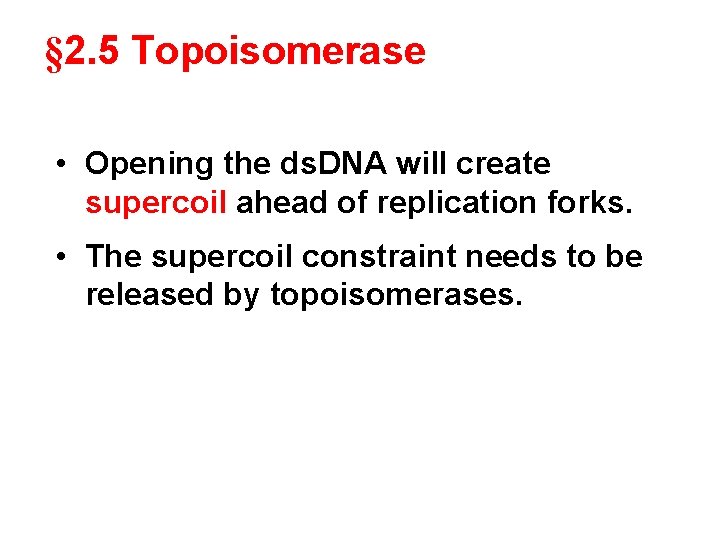 § 2. 5 Topoisomerase • Opening the ds. DNA will create supercoil ahead of