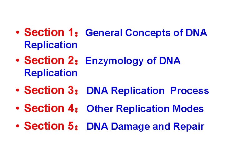  • Section 1：General Concepts of DNA Replication • Section 2：Enzymology of DNA Replication