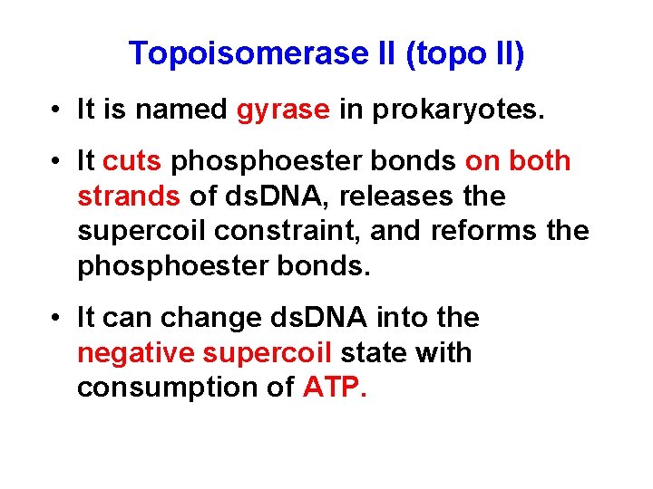 Topoisomerase II (topo II) • It is named gyrase in prokaryotes. • It cuts