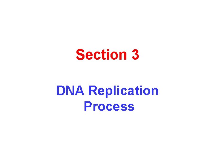 Section 3 DNA Replication Process 