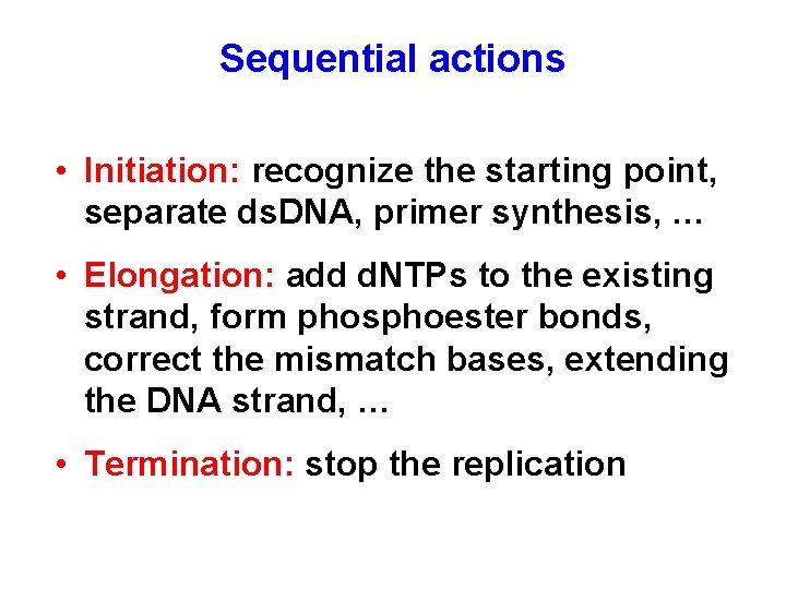 Sequential actions • Initiation: recognize the starting point, separate ds. DNA, primer synthesis, …