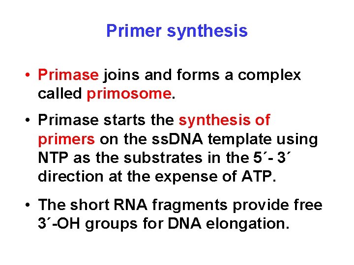 Primer synthesis • Primase joins and forms a complex called primosome. • Primase starts