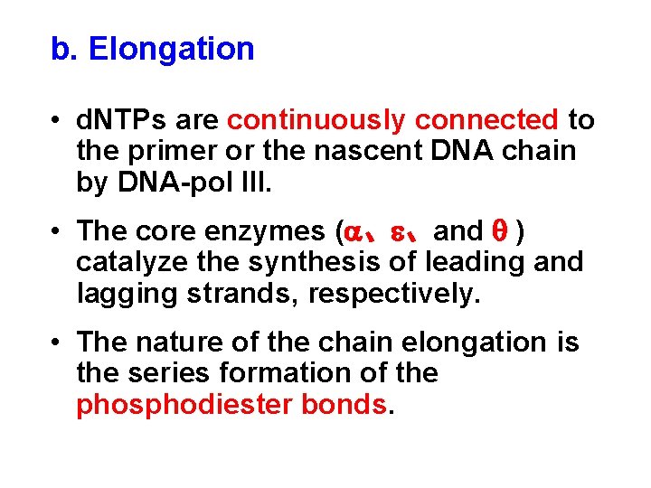 b. Elongation • d. NTPs are continuously connected to the primer or the nascent