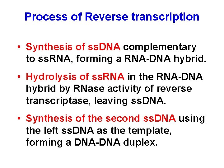 Process of Reverse transcription • Synthesis of ss. DNA complementary to ss. RNA, forming