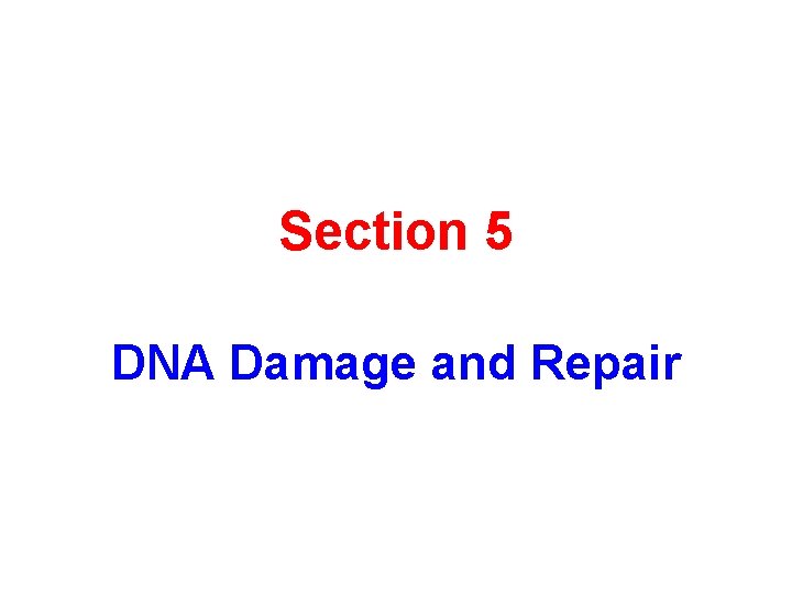 Section 5 DNA Damage and Repair 