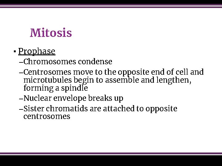 Mitosis ▪ Prophase –Chromosomes condense –Centrosomes move to the opposite end of cell and