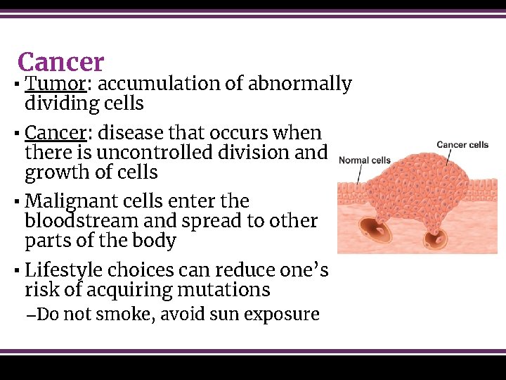 Cancer ▪ Tumor: accumulation of abnormally dividing cells ▪ Cancer: disease that occurs when