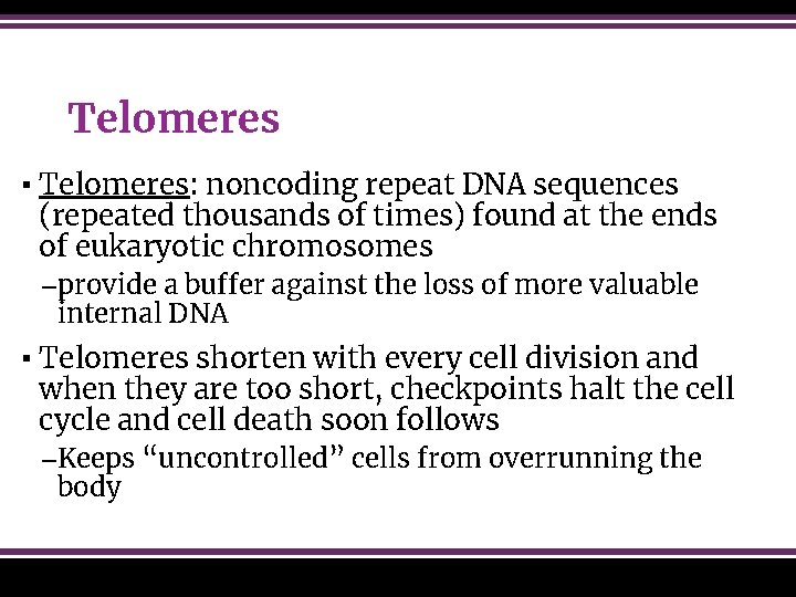 Telomeres ▪ Telomeres: noncoding repeat DNA sequences (repeated thousands of times) found at the