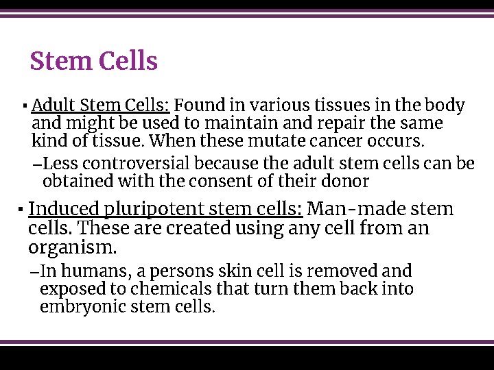 Stem Cells ▪ Adult Stem Cells: Found in various tissues in the body and