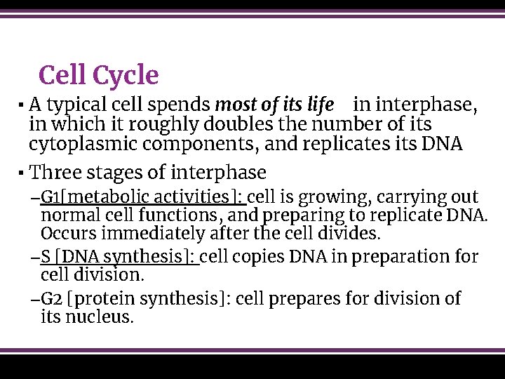 Cell Cycle ▪ A typical cell spends most of its life in interphase, in