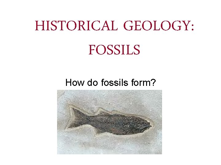 HISTORICAL GEOLOGY: FOSSILS How do fossils form? 