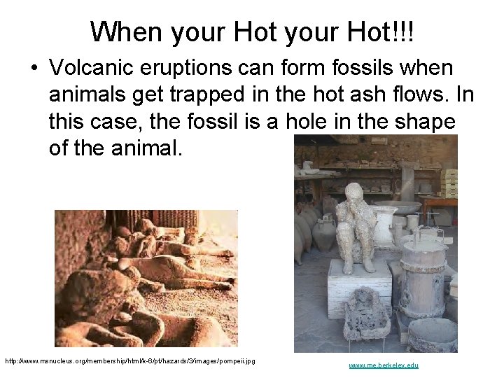 When your Hot!!! • Volcanic eruptions can form fossils when animals get trapped in