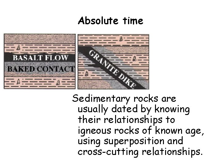  Absolute time • Sedimentary rocks are usually dated by knowing their relationships to