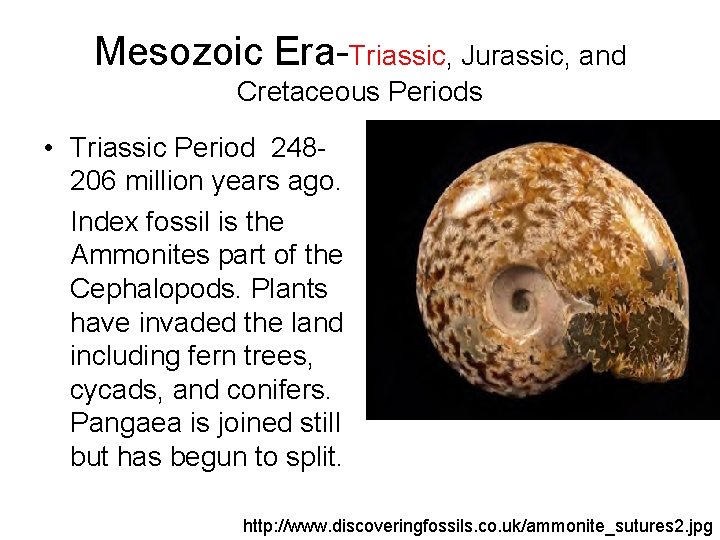 Mesozoic Era-Triassic, Jurassic, and Cretaceous Periods • Triassic Period 248206 million years ago. Index