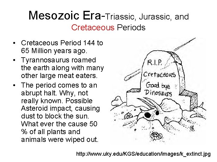 Mesozoic Era-Triassic, Jurassic, and Cretaceous Periods • Cretaceous Period 144 to 65 Million years