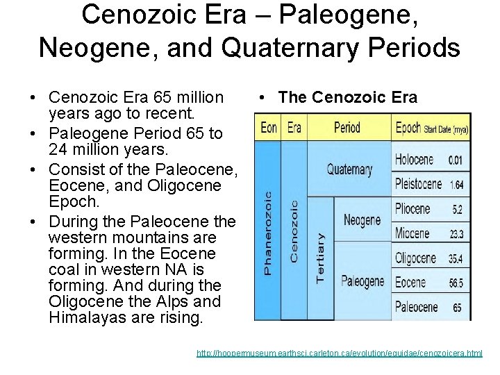 Cenozoic Era – Paleogene, Neogene, and Quaternary Periods • Cenozoic Era 65 million •