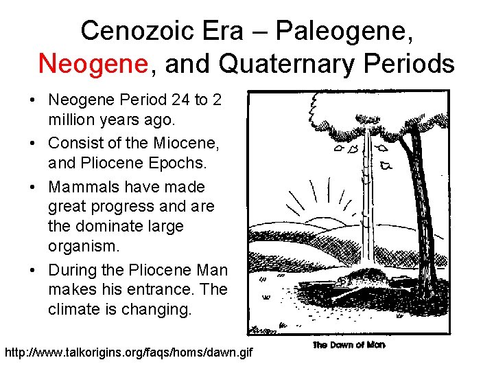 Cenozoic Era – Paleogene, Neogene, and Quaternary Periods • Neogene Period 24 to 2