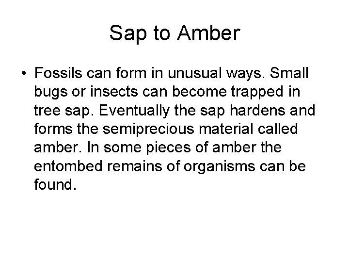 Sap to Amber • Fossils can form in unusual ways. Small bugs or insects