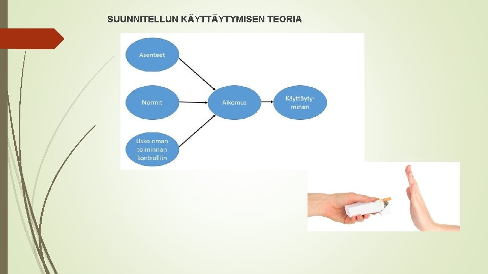 SUUNNITELLUN KÄYTTÄYTYMISEN TEORIA 