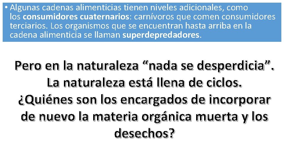  • Algunas cadenas alimenticias tienen niveles adicionales, como los consumidores cuaternarios: carnívoros que