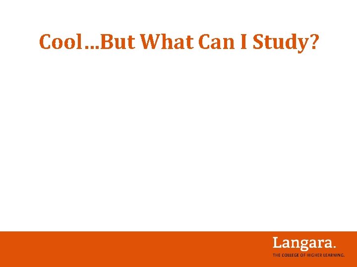 Cool…But What Can I Study? 