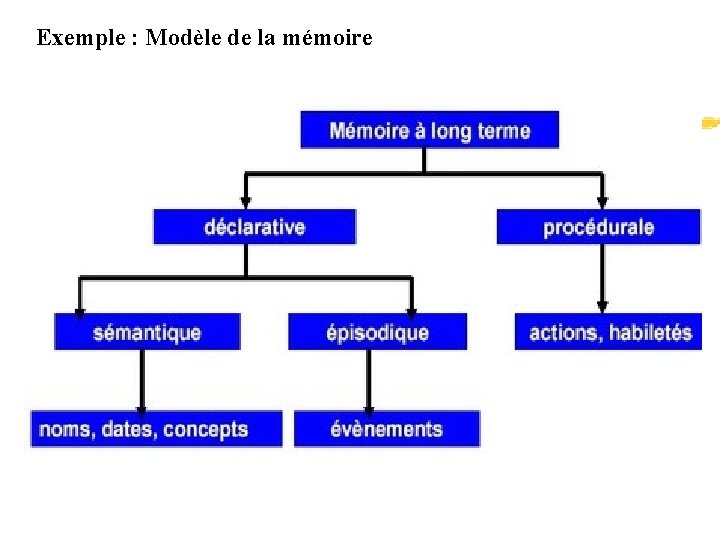 Exemple : Modèle de la mémoire 