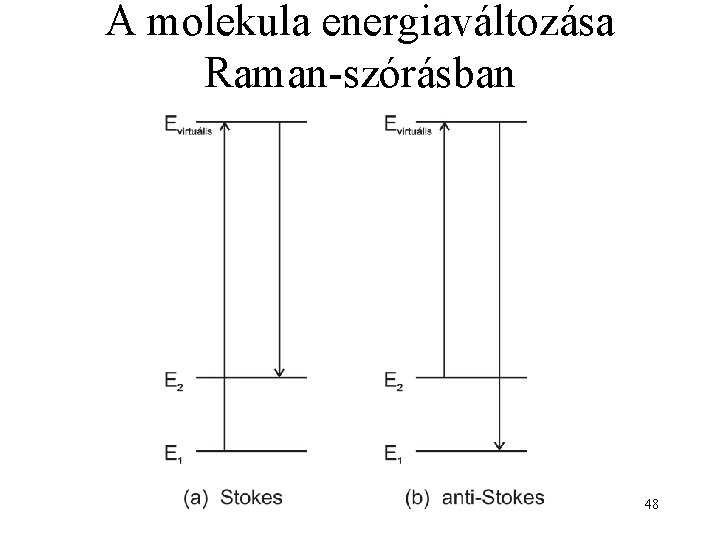 A molekula energiaváltozása Raman-szórásban 48 