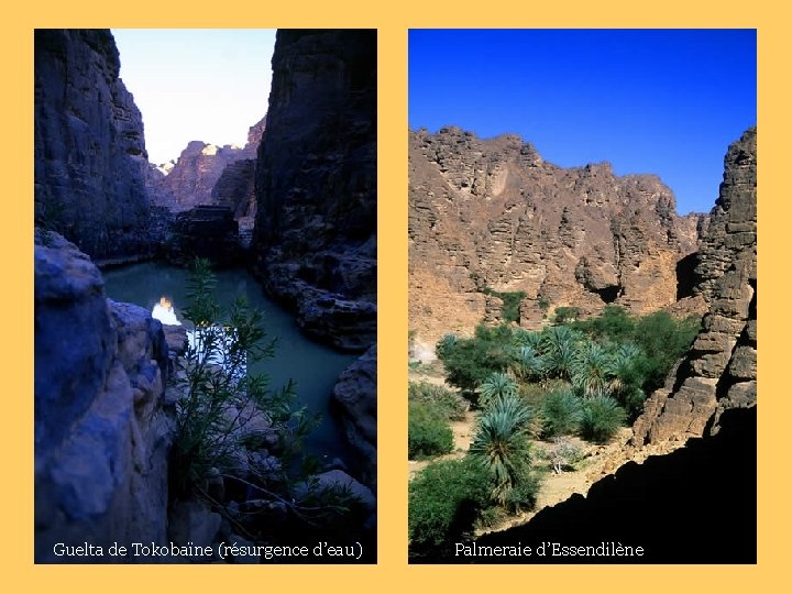 Guelta de Tokobaïne (résurgence d’eau) Palmeraie d’Essendilène 