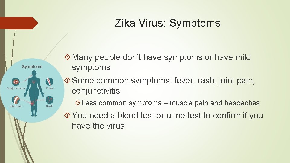 Zika Virus: Symptoms Many people don’t have symptoms or have mild symptoms Some common
