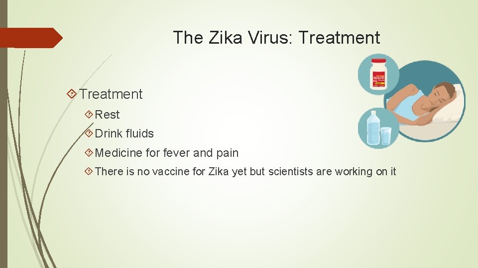 The Zika Virus: Treatment Rest Drink fluids Medicine for fever and pain There is