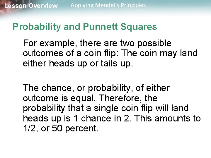 Lesson Overview Applying Mendel’s Principles Probability and Punnett Squares For example, there are two