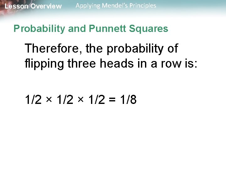 Lesson Overview Applying Mendel’s Principles Probability and Punnett Squares Therefore, the probability of flipping