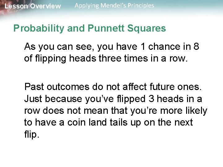 Lesson Overview Applying Mendel’s Principles Probability and Punnett Squares As you can see, you