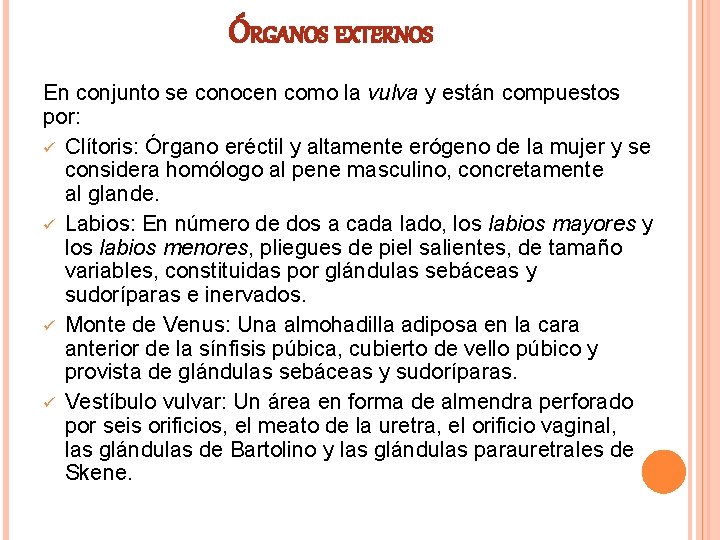 ÓRGANOS EXTERNOS En conjunto se conocen como la vulva y están compuestos por: ü ÓRGANOS EXTERNOS En conjunto se conocen como la vulva y están compuestos por: ü