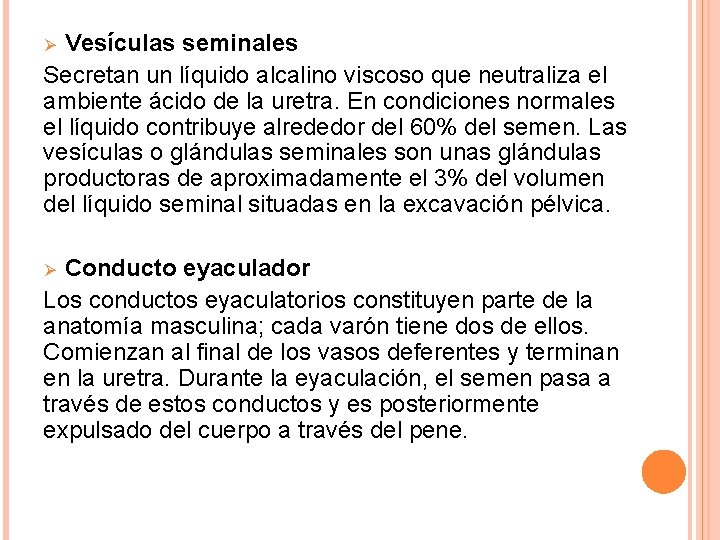 Vesículas seminales Secretan un líquido alcalino viscoso que neutraliza el ambiente ácido de la Vesículas seminales Secretan un líquido alcalino viscoso que neutraliza el ambiente ácido de la