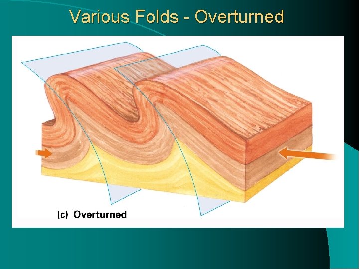 Various Folds - Overturned 