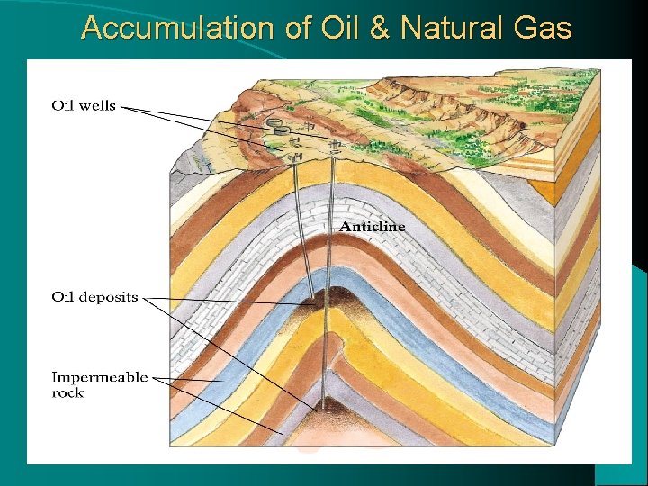 Accumulation of Oil & Natural Gas 