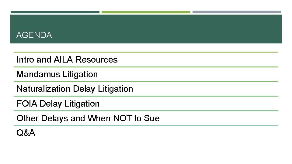 AGENDA Intro and AILA Resources Mandamus Litigation Naturalization Delay Litigation FOIA Delay Litigation Other