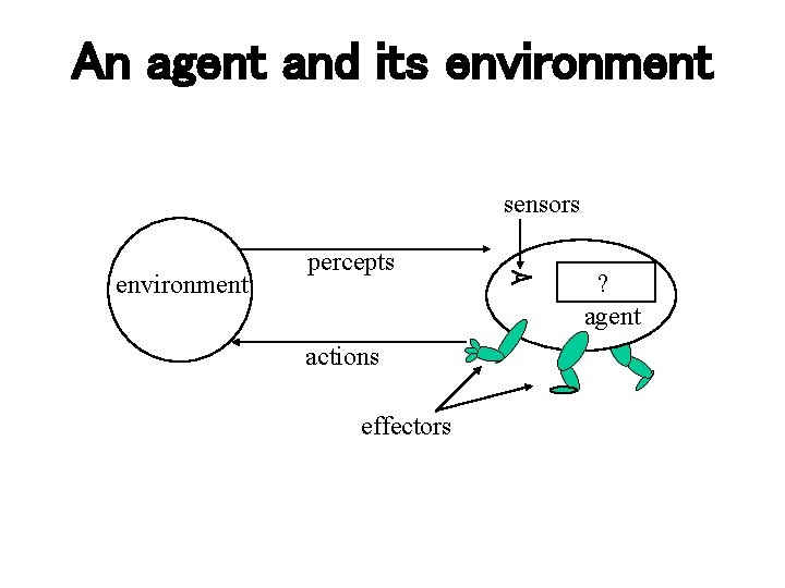 An agent and its environment sensors environment percepts actions effectors ? agent 