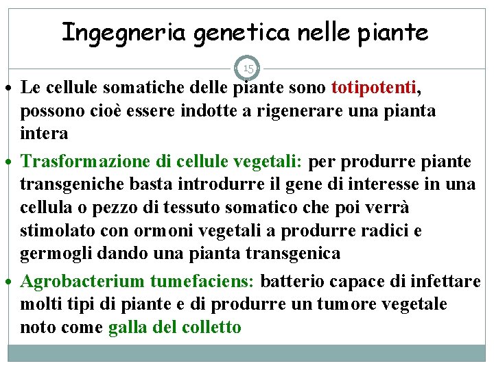 Ingegneria genetica nelle piante 15 • Le cellule somatiche delle piante sono totipotenti, possono