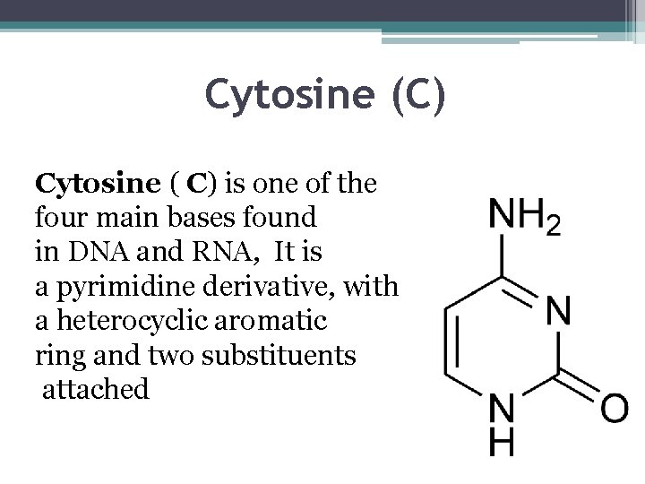 Cytosine (C) Cytosine ( C) is one of the four main bases found in