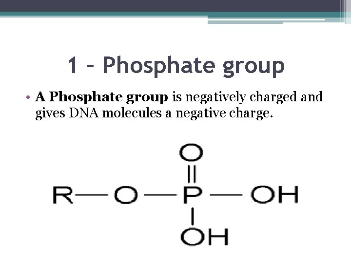 1 – Phosphate group • A Phosphate group is negatively charged and gives DNA