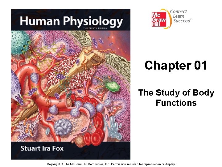 Chapter 01 The Study of Body Functions Copyright © The Mc. Graw-Hill Companies, Inc.