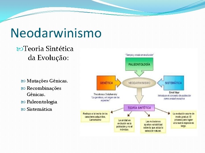 Neodarwinismo Teoria Sintética da Evolução: Mutações Gênicas. Recombinações Gênicas. Paleontologia Sistemática 