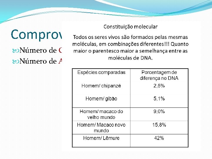 Comprovação da Evolução Número de Citocromos de organismos. Número de Aminoácidos de organismos. 