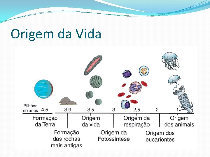 Origem da Vida 
